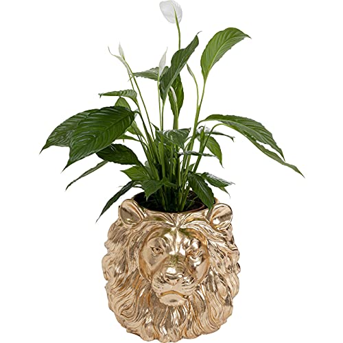 kare-design-lion-deko-bertopf-gold-l-wenkopf-44x40x38-cm image 7