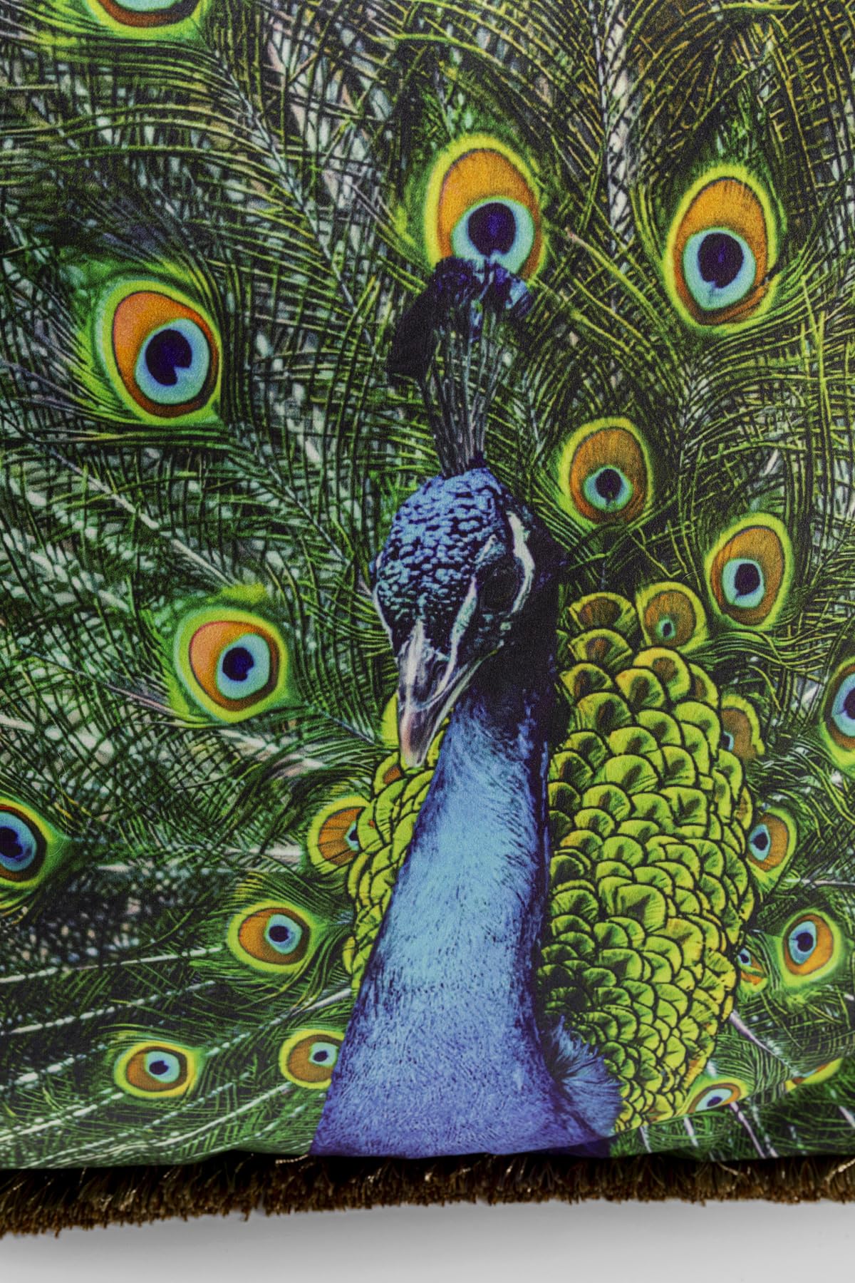 kare-design-kissen-peacock-45x45-cm-pfau-samtoptik-mit-fransen image 5