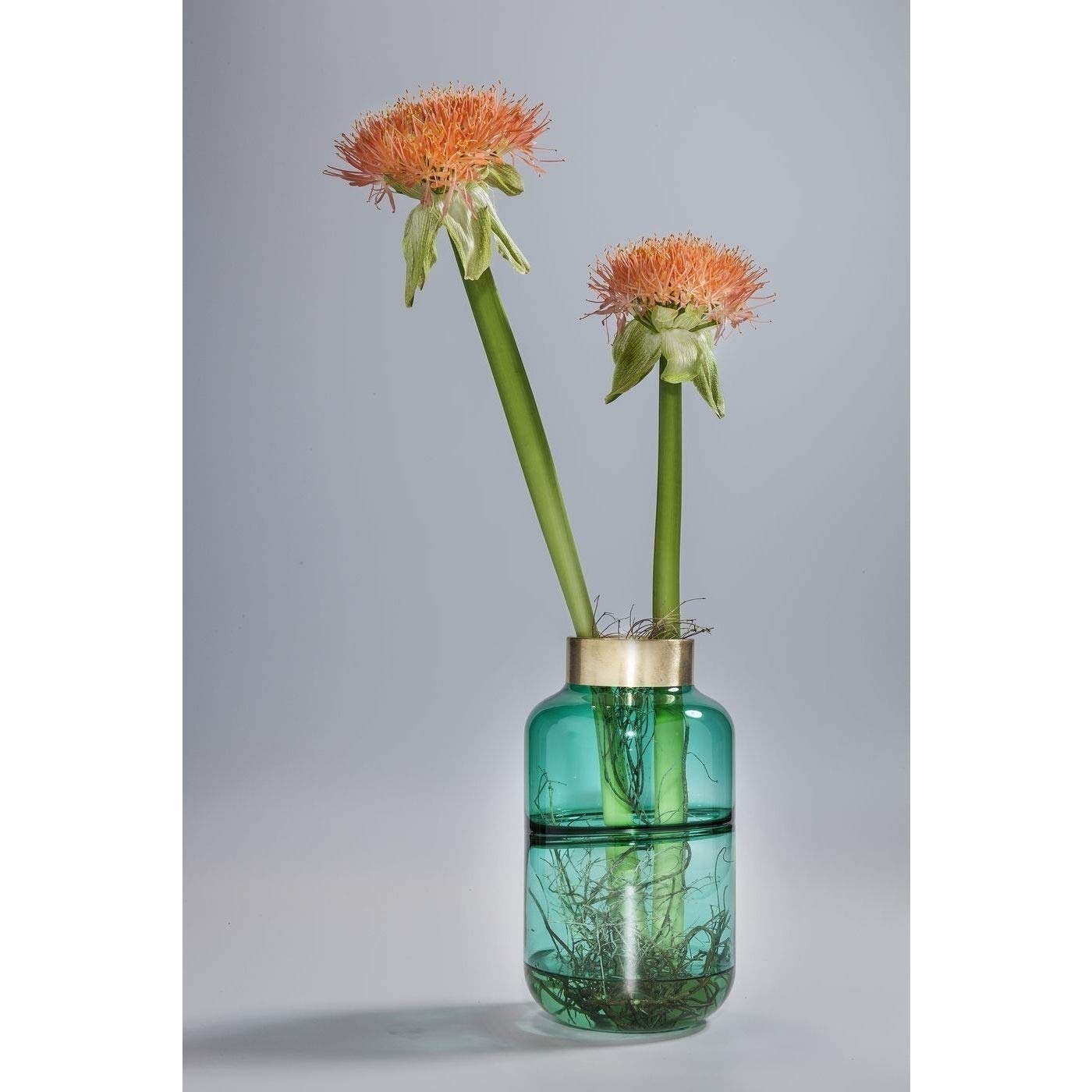 kare-design-positano-belly-vase-gr-n-glas-messing-21x23x23-cm image 6