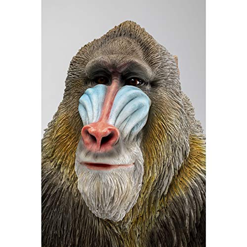 kare-design-deko-figurine-monkey-madrill image 8
