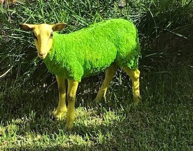 Farbe anders als erwartet
