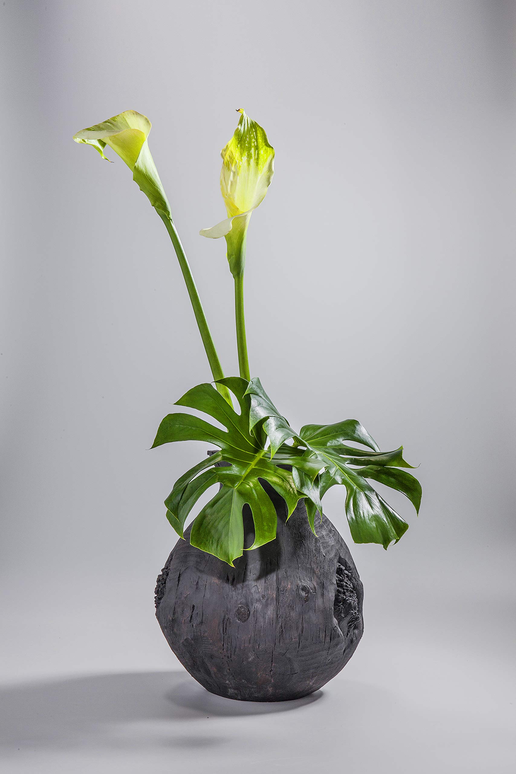 kare-design-vase-elemento-schwarz-41-4-x-36-3-x-36-3-cm-bodenvase-aus-kunstharz image 3