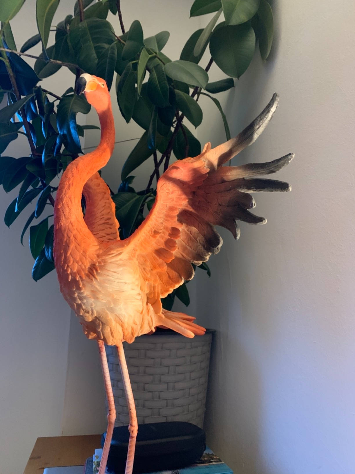 Fliegt!