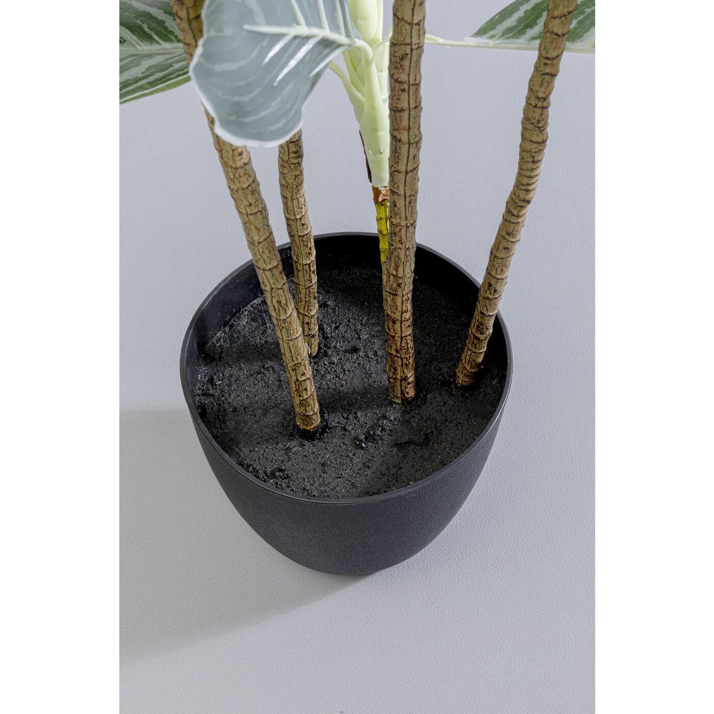 kare-design-deko-pflanze-calathea-k-nstlich-mit-topf-140x22x22-cm image 5
