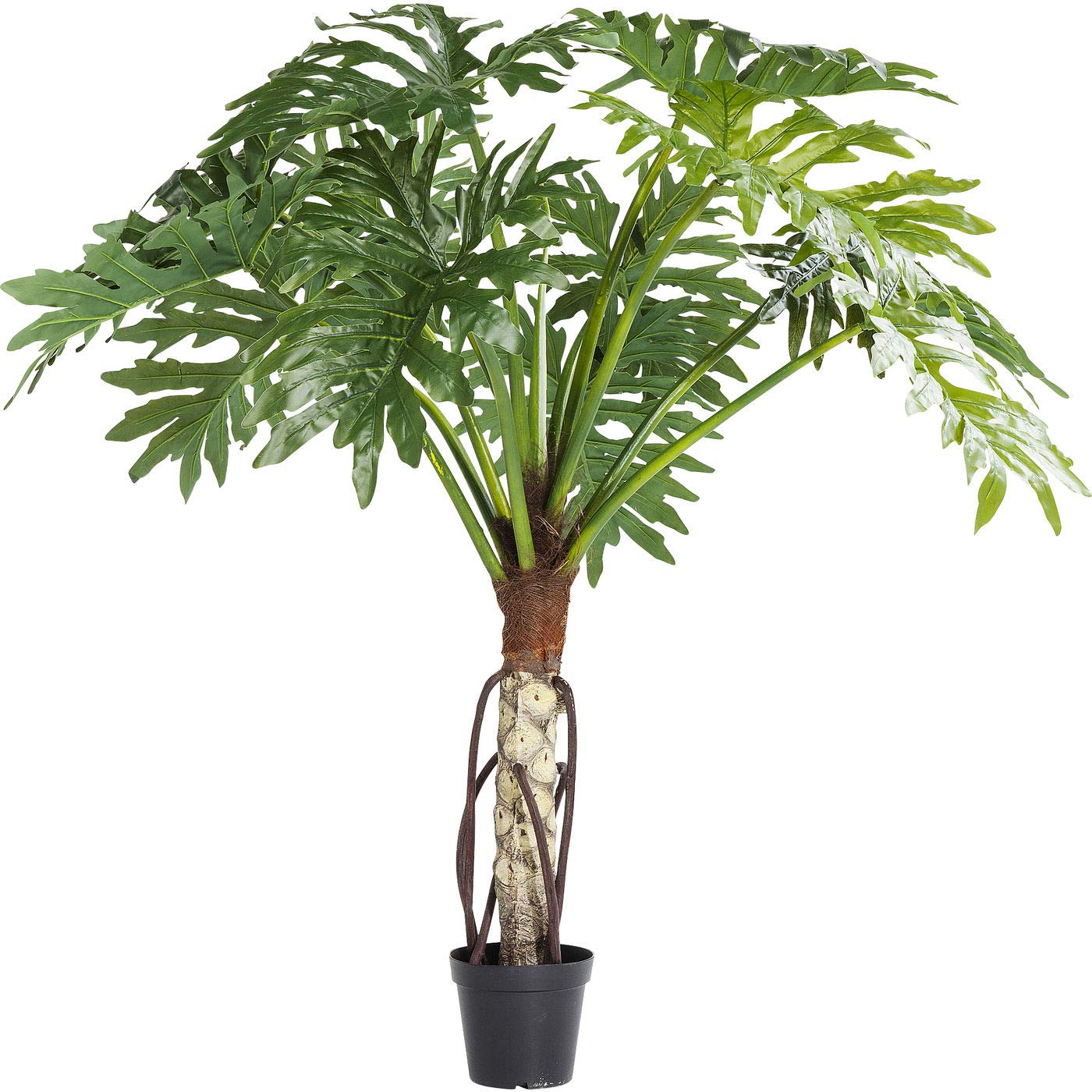 kare-design-sansevieria-dekopflanze-155x35x35-cm-t-uschend-echte-kunstpflanze image 6