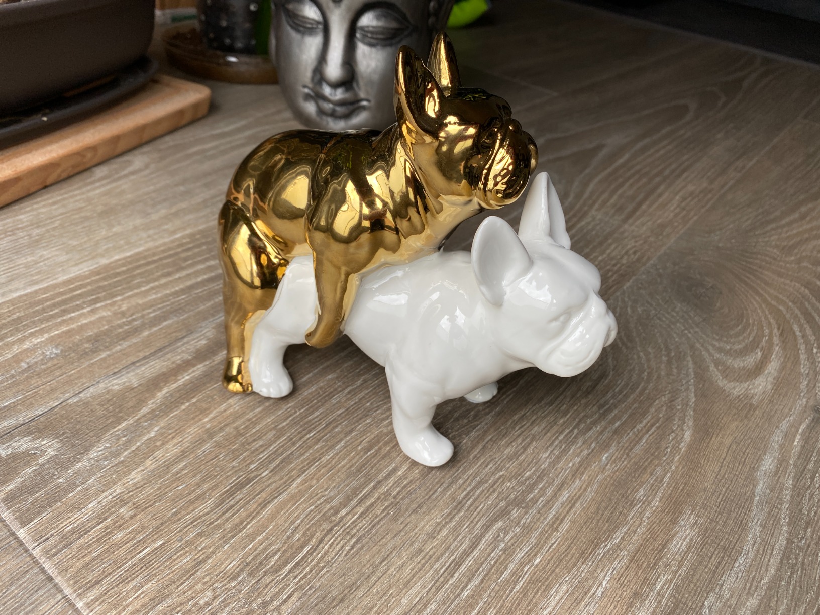 Tolles Geschenk
