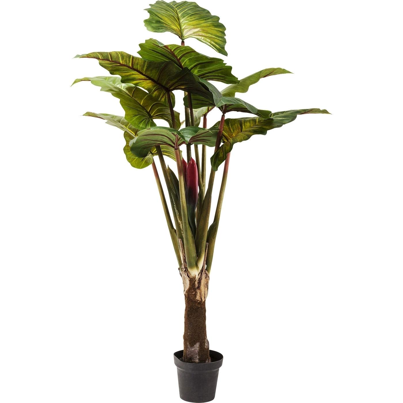 kare-design-sansevieria-dekopflanze-155x35x35-cm-t-uschend-echte-kunstpflanze image 8