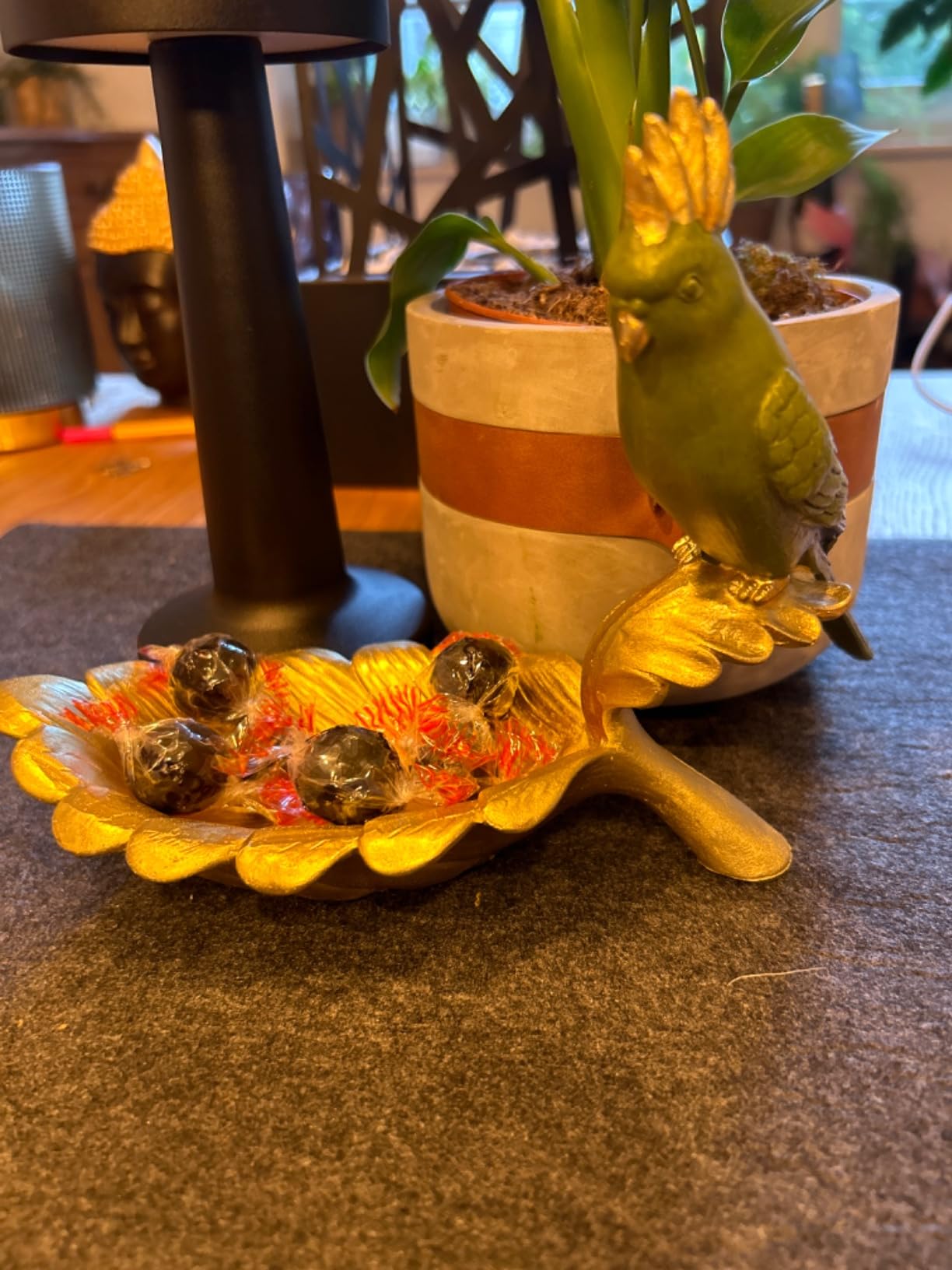 Wunderschöne Papageien!