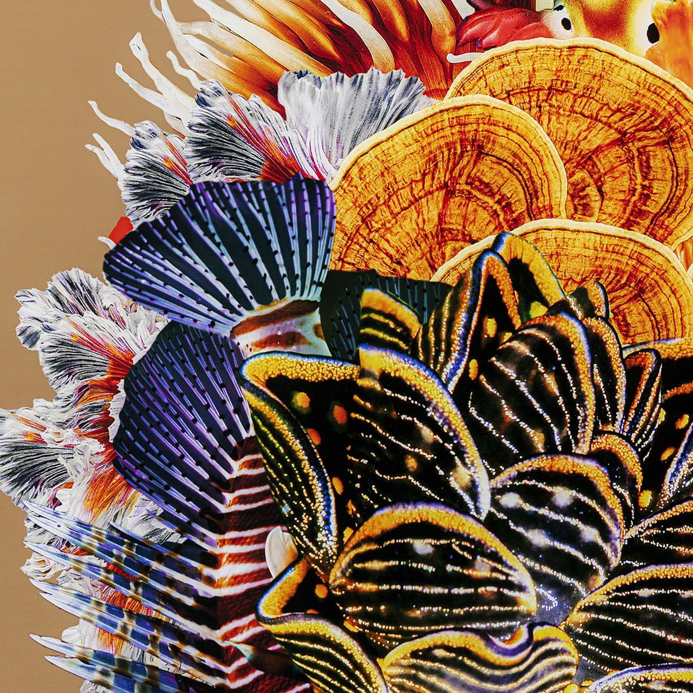 kare-design-bild-flower-hair-mehrfarbig-120x120-cm-alu-rahmen image 4