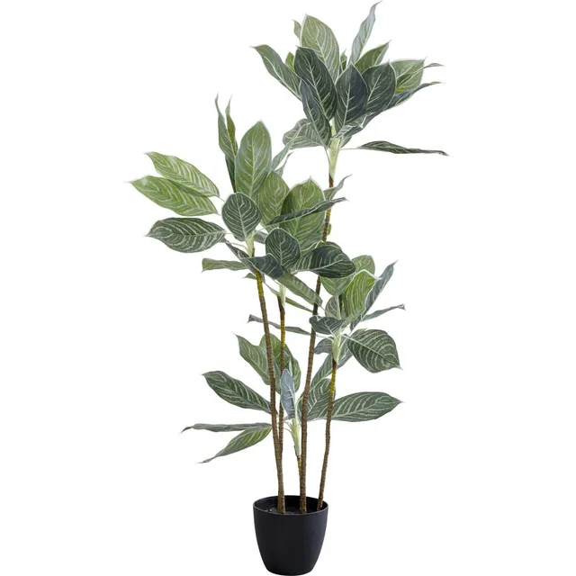 kare-design-deko-pflanze-calathea-k-nstlich-mit-topf-140x22x22-cm image 1