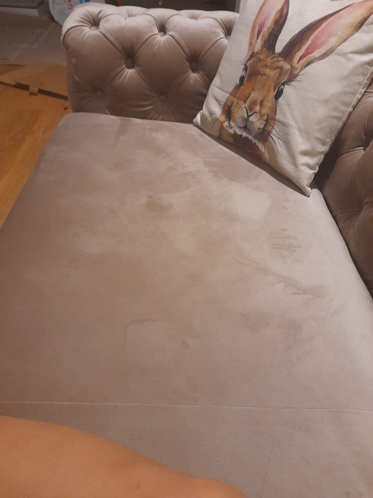 Sehr schick, Pflege beachten