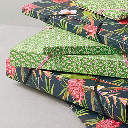 cedon-sammelmappe-de-luxe-tropical-a4-bis-4-cm image 2