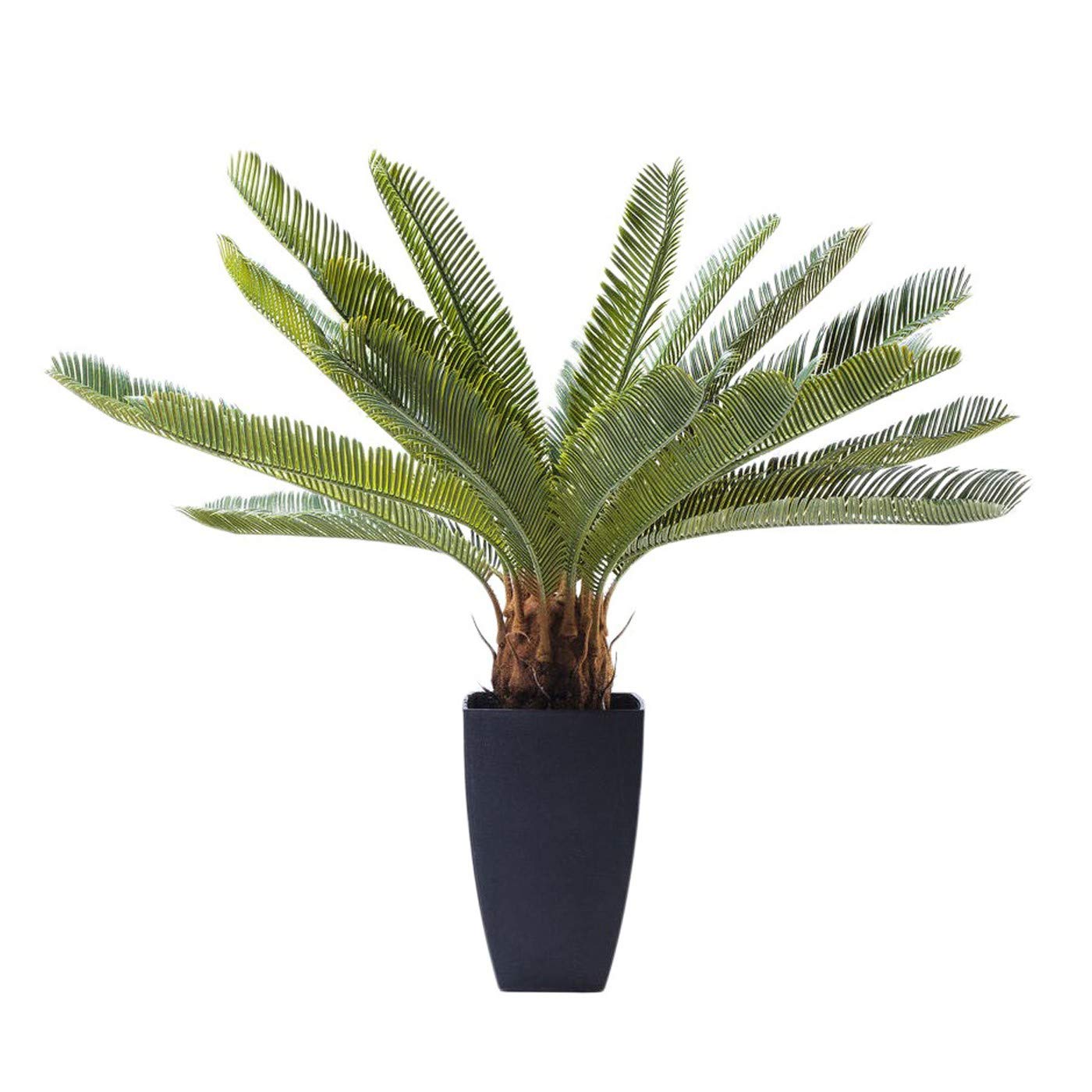 kare-design-sansevieria-dekopflanze-155x35x35-cm-t-uschend-echte-kunstpflanze image 7