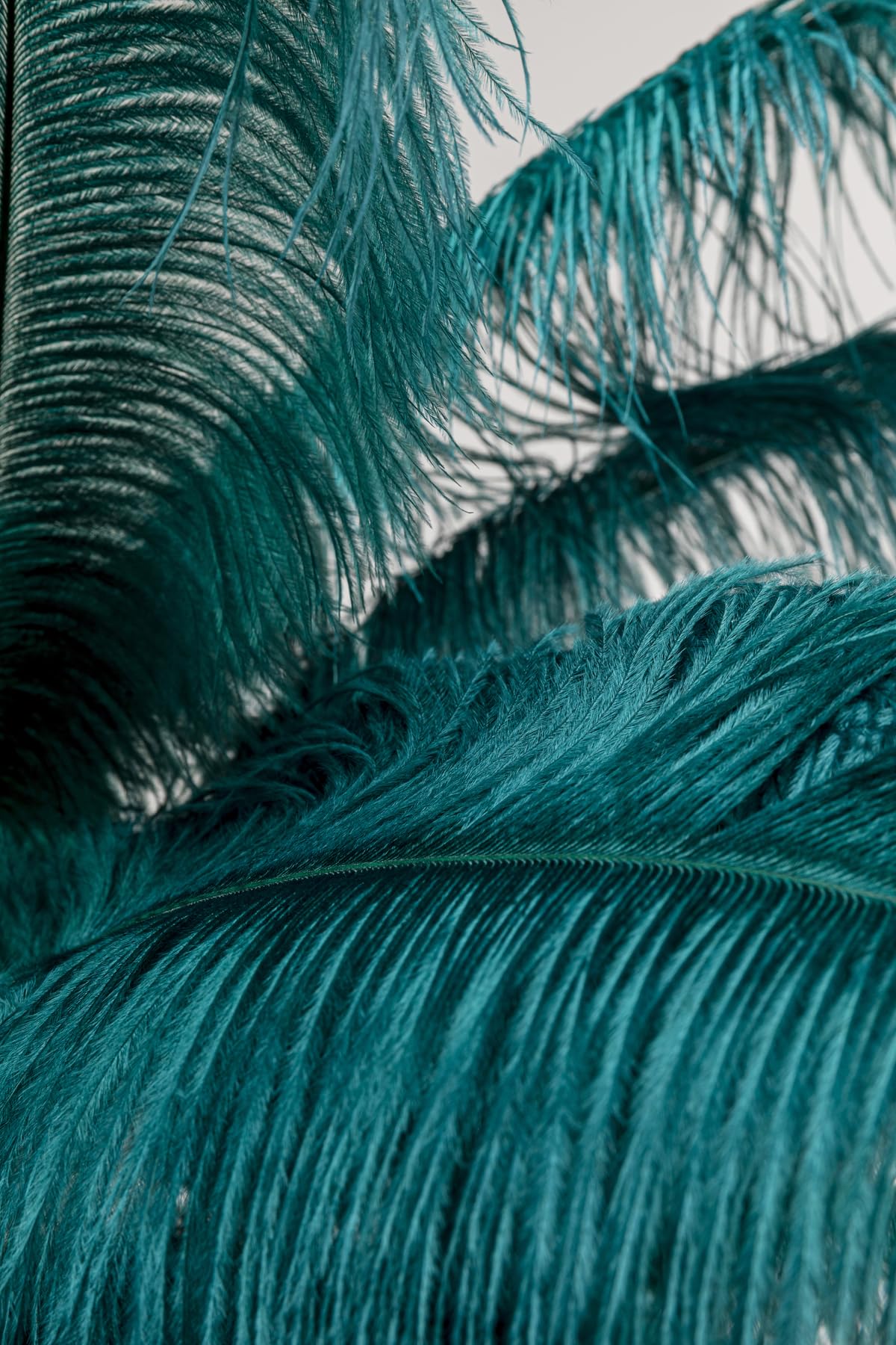 kare-design-stehleuchte-feather-palm-gr-n-gold-165-cm-bodenlampe-mit-strau-enfed image 5