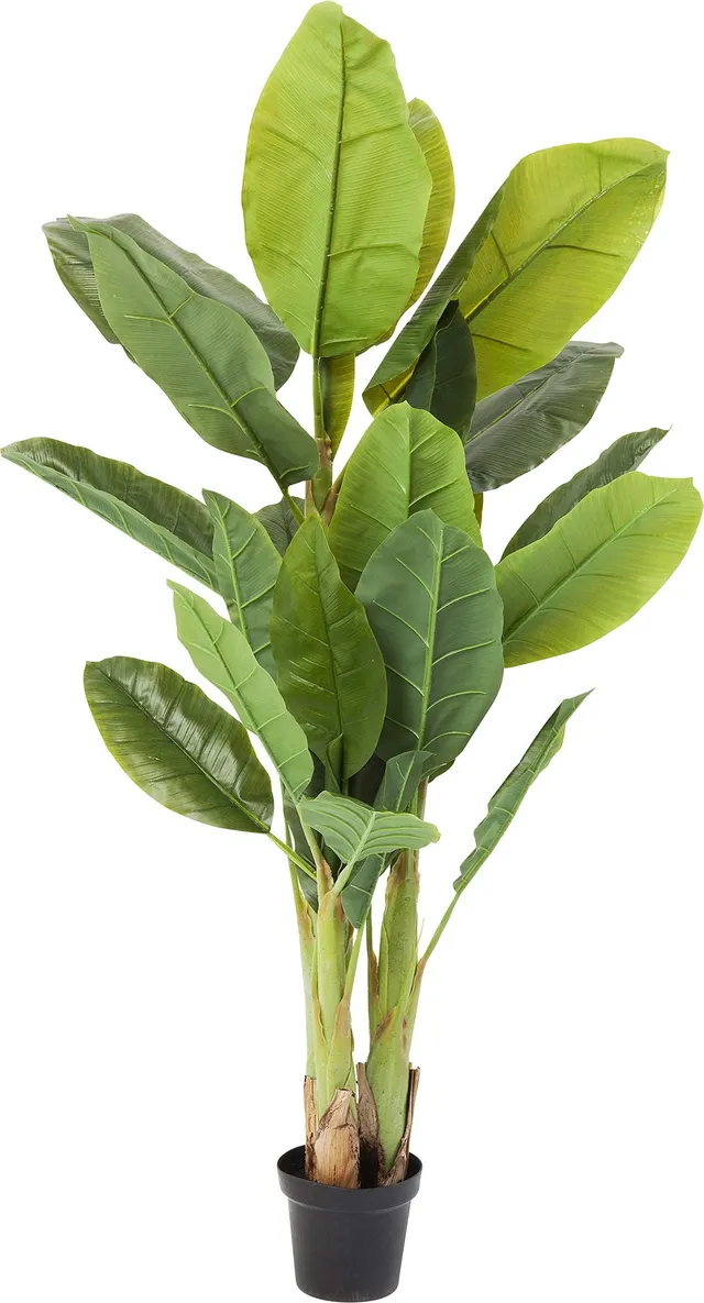 kare-design-bamboo-tree-deko-pflanze-200cm-xxl-kunstpflanze-gr-n-mit-topf image 1