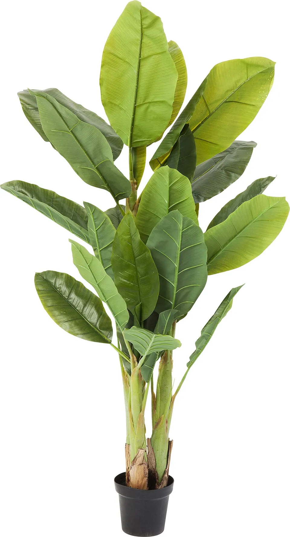 kare-design-bamboo-tree-deko-pflanze-200cm-xxl-kunstpflanze-gr-n-mit-topf image 1