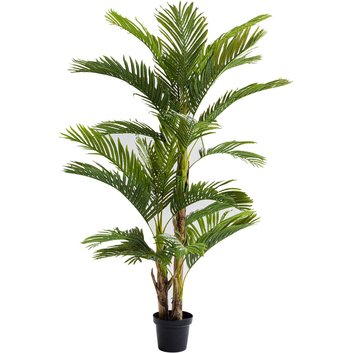 kare-design-deko-pflanze-palm-tree-gr-n-190-cm-im-zementtopf image 1