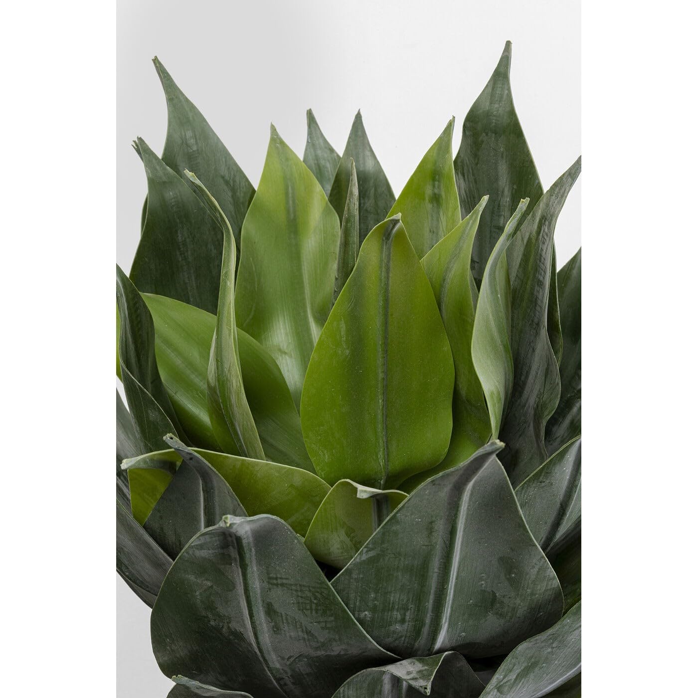 kare-design-deko-pflanze-agave-gr-n-120-cm-k-nstlich-mit-topf image 2