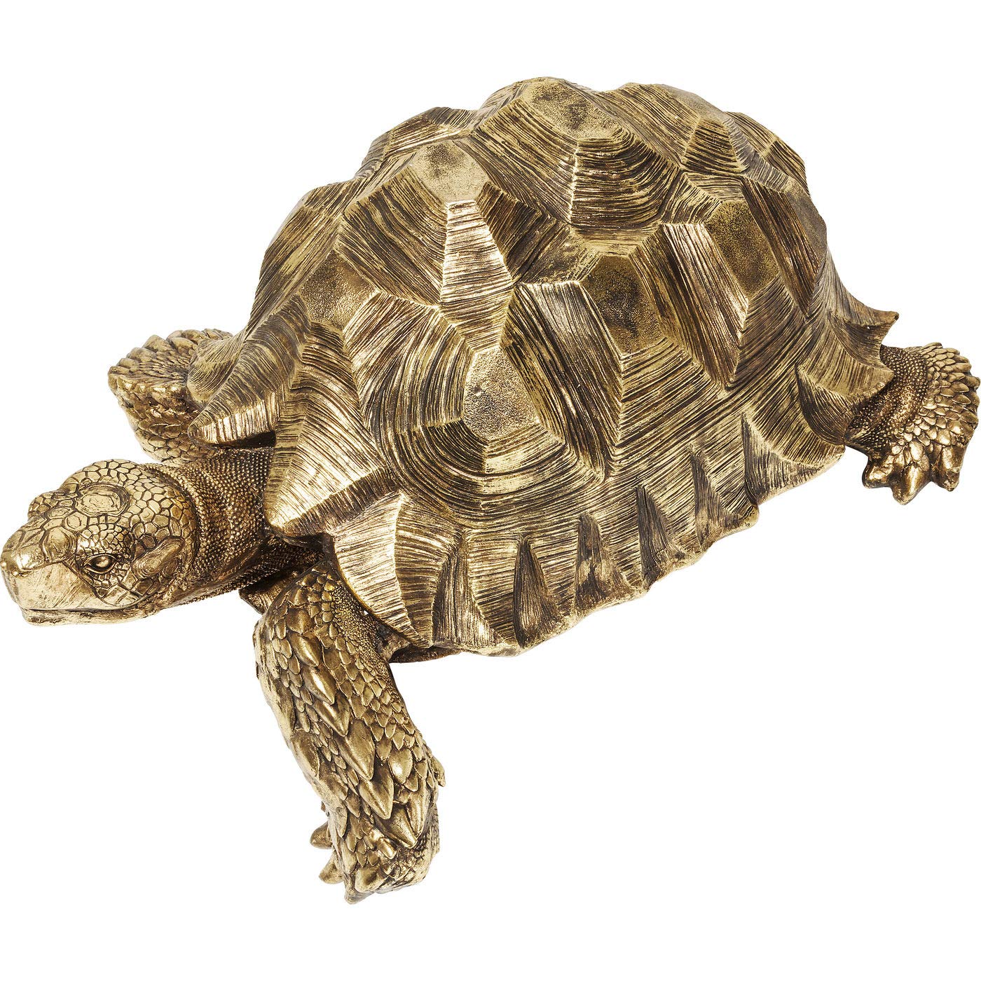 kare-design-turtle-xl-deko-schildkr-te-gold-44x94x76-cm image 6