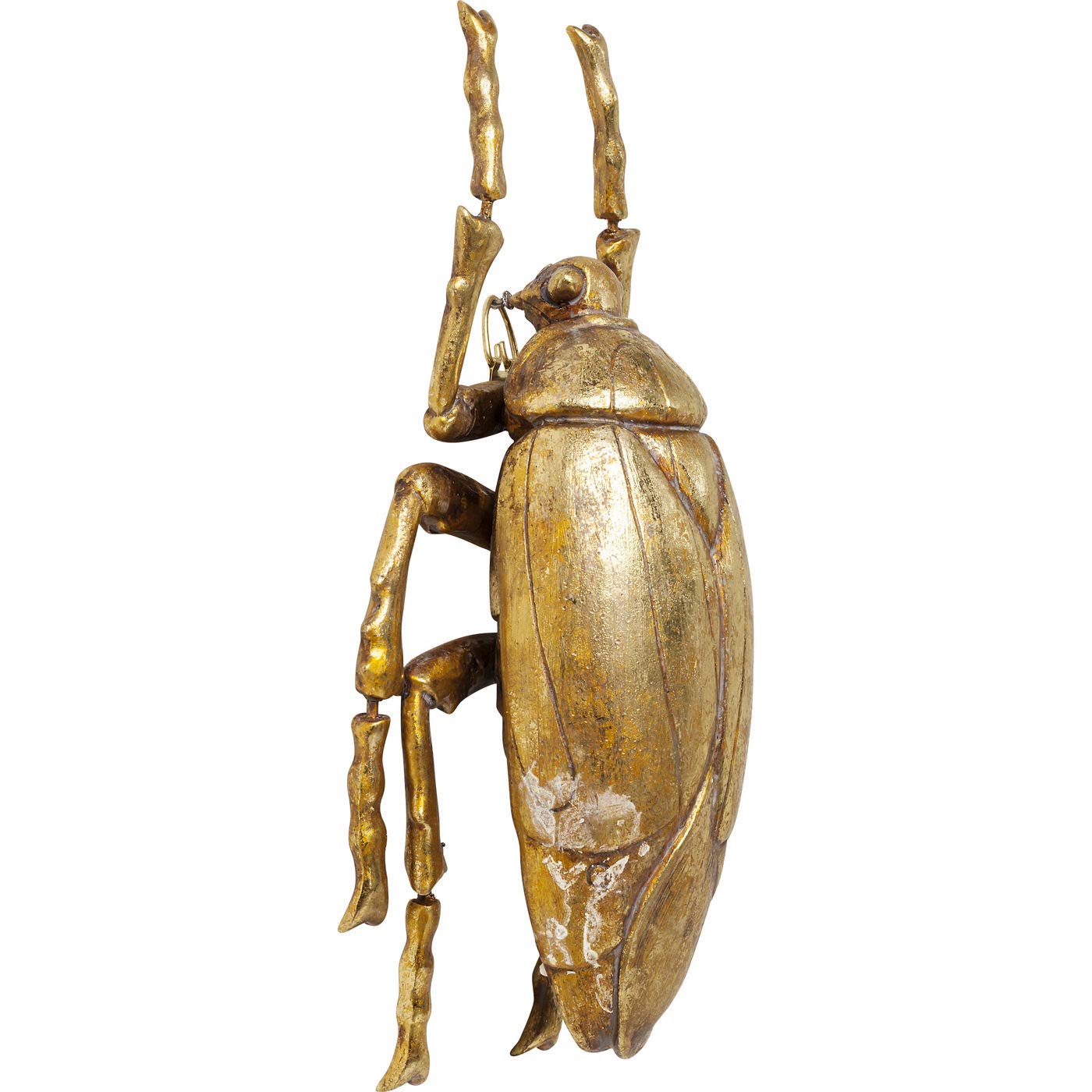 kare-design-wandschmuck-plant-beetle-gold-8x14-5x26-cm-k-fer-wanddeko image 2