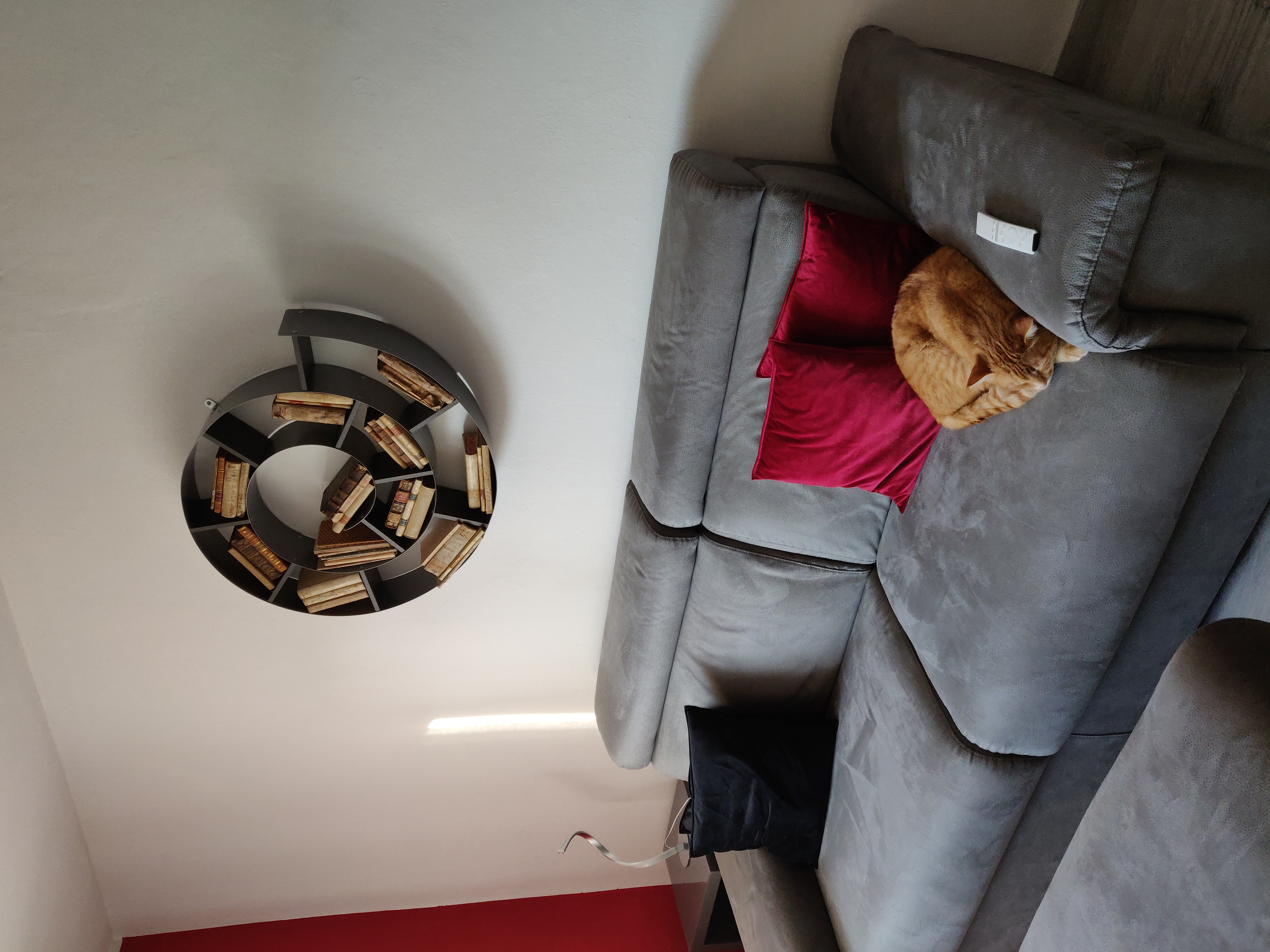 Schönes rundes Stahl-Wandregal mit 75 cm Durchmesser, bietet viel Platz für Bücher und Deko und sieht im Wohnzimmer super modern aus