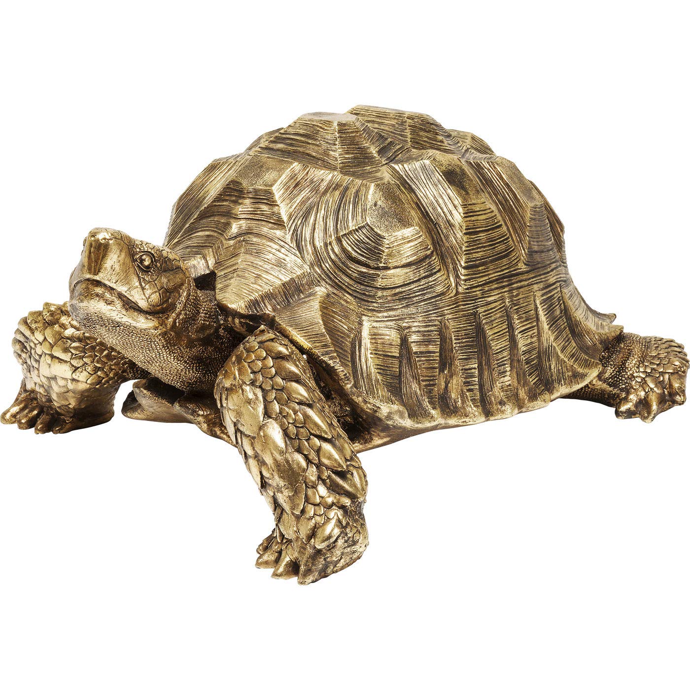kare-design-turtle-xl-deko-schildkr-te-gold-44x94x76-cm image 5