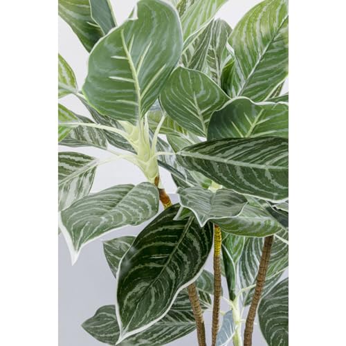 kare-design-deko-pflanze-calathea-k-nstlich-mit-topf-140x22x22-cm image 7