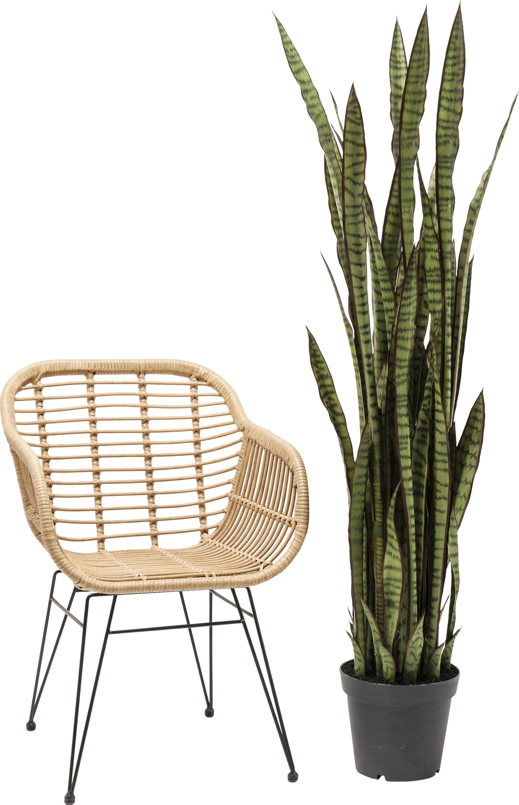 kare-design-sansevieria-dekopflanze-155x35x35-cm-t-uschend-echte-kunstpflanze image 3