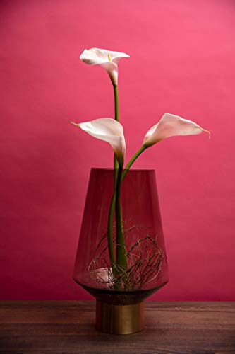 kare-design-vase-noble-braun-mundgeblasene-glasvase-40-cm-mit-messingsockel image 7