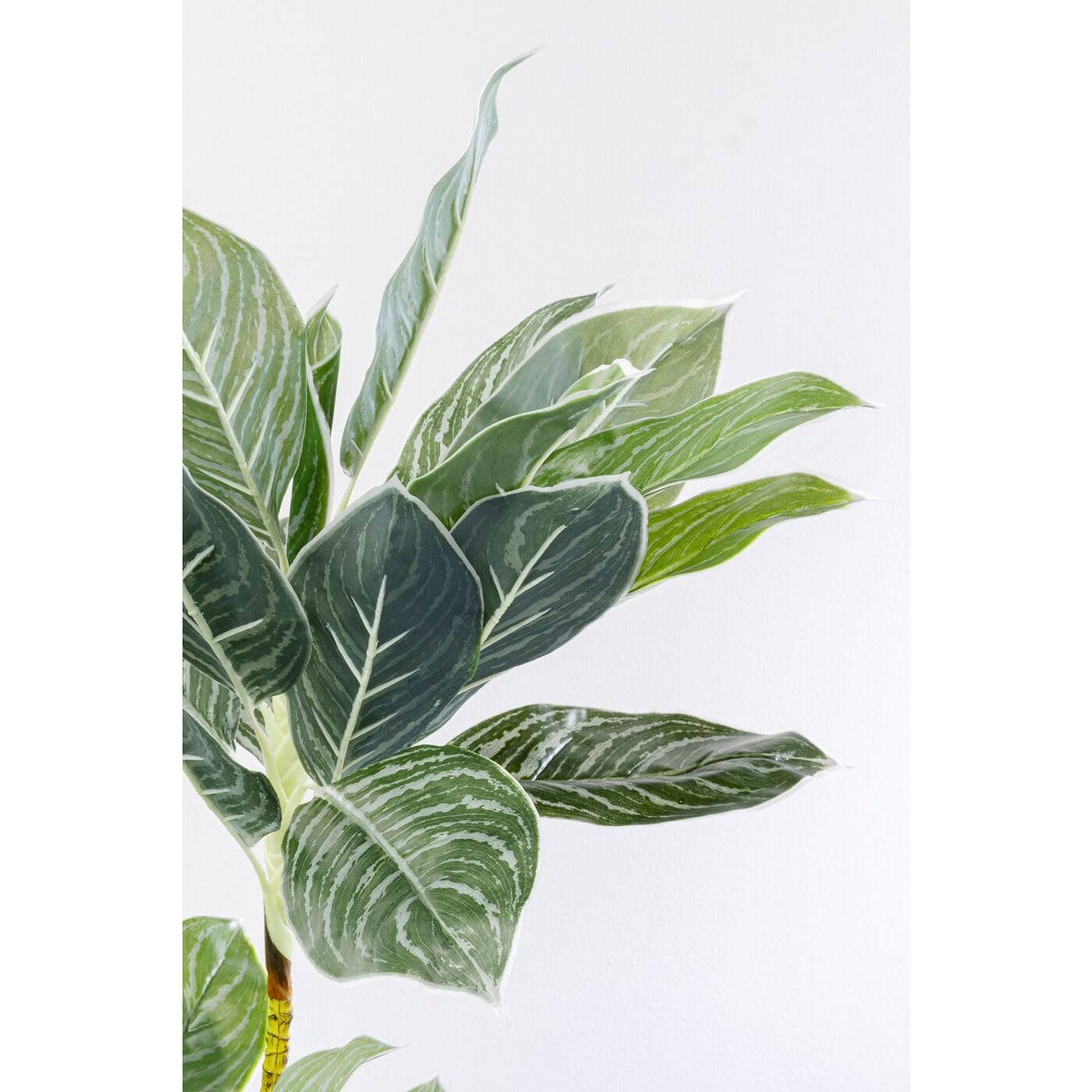 kare-design-deko-pflanze-calathea-k-nstlich-mit-topf-140x22x22-cm image 4