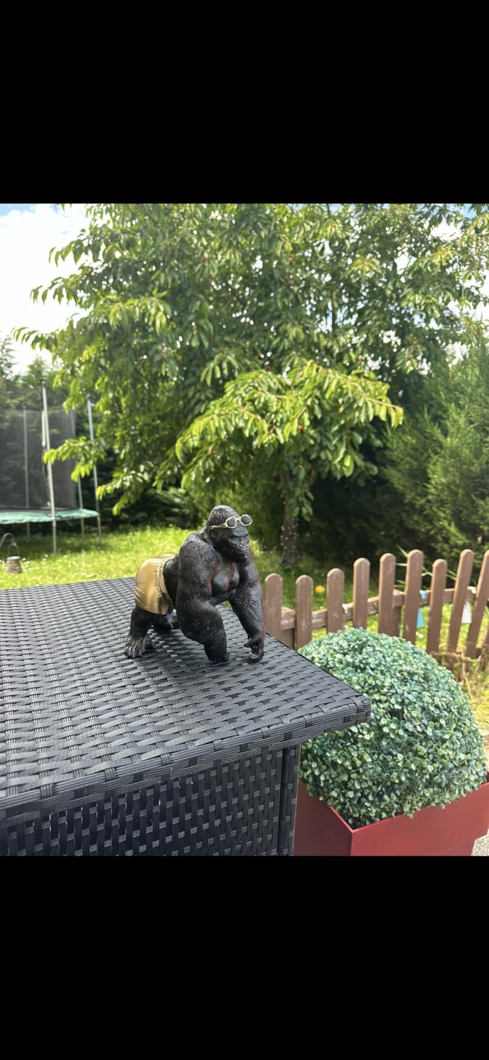 Der Hingucker im Regal