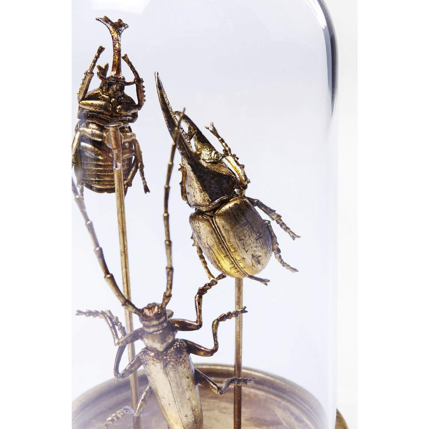 kare-design-insects-tre-deko-objekt-glas-retro image 8