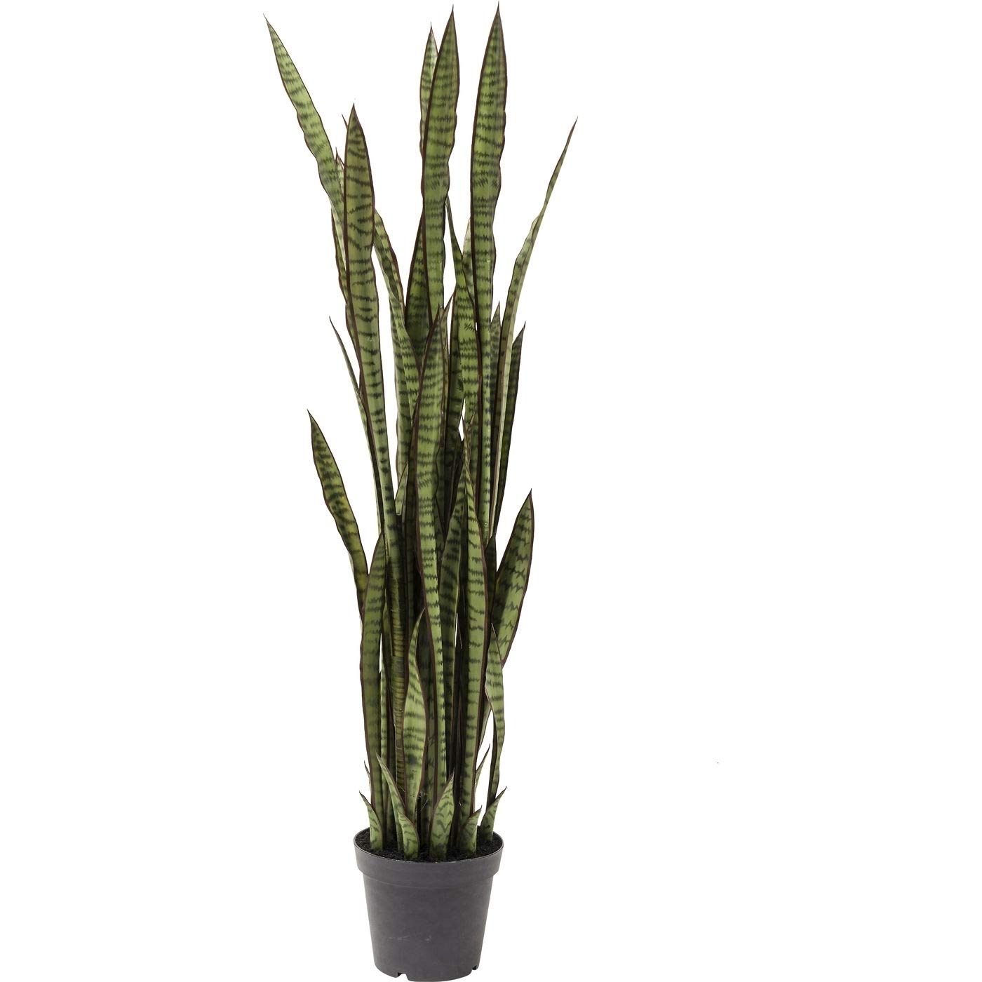 kare-design-sansevieria-dekopflanze-155x35x35-cm-t-uschend-echte-kunstpflanze image 1
