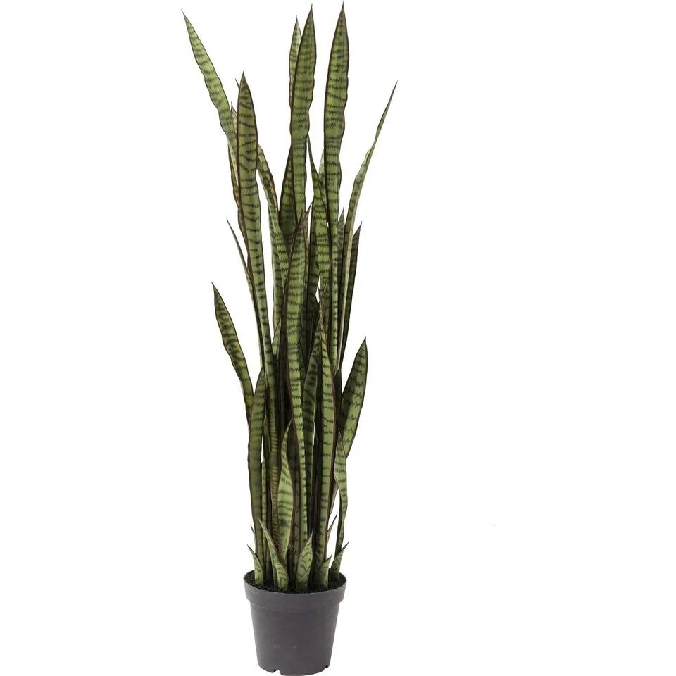 kare-design-sansevieria-dekopflanze-155x35x35-cm-t-uschend-echte-kunstpflanze image 1