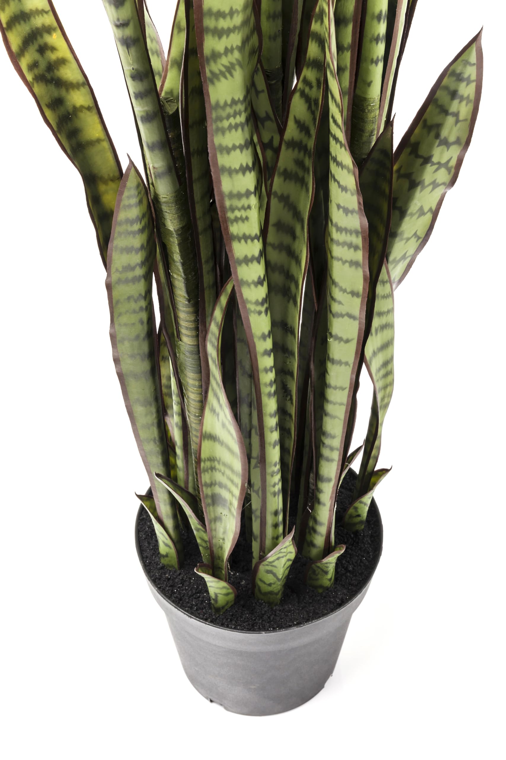 kare-design-sansevieria-dekopflanze-155x35x35-cm-t-uschend-echte-kunstpflanze image 5