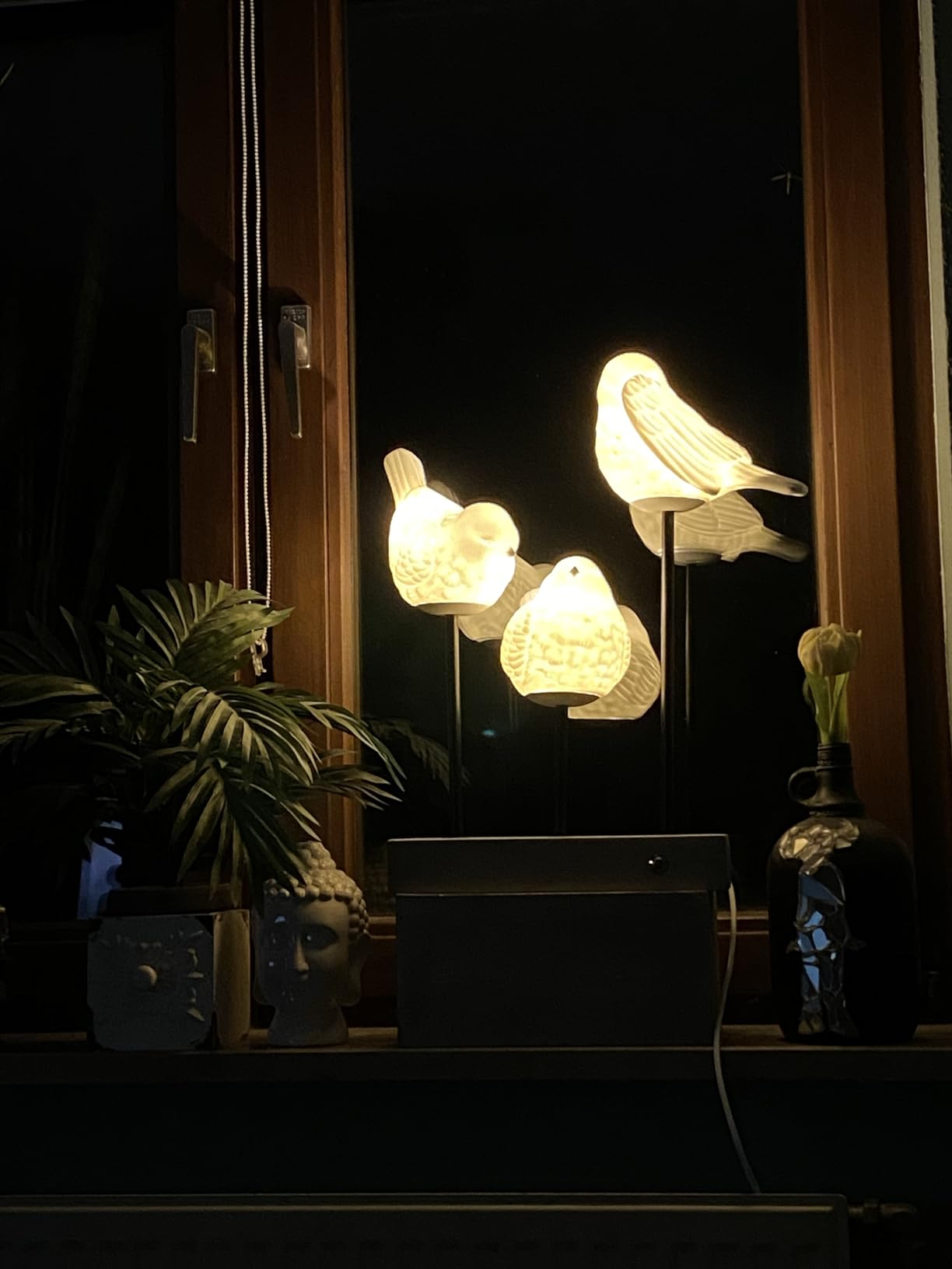 Highlight in der Midnight Einrichtung