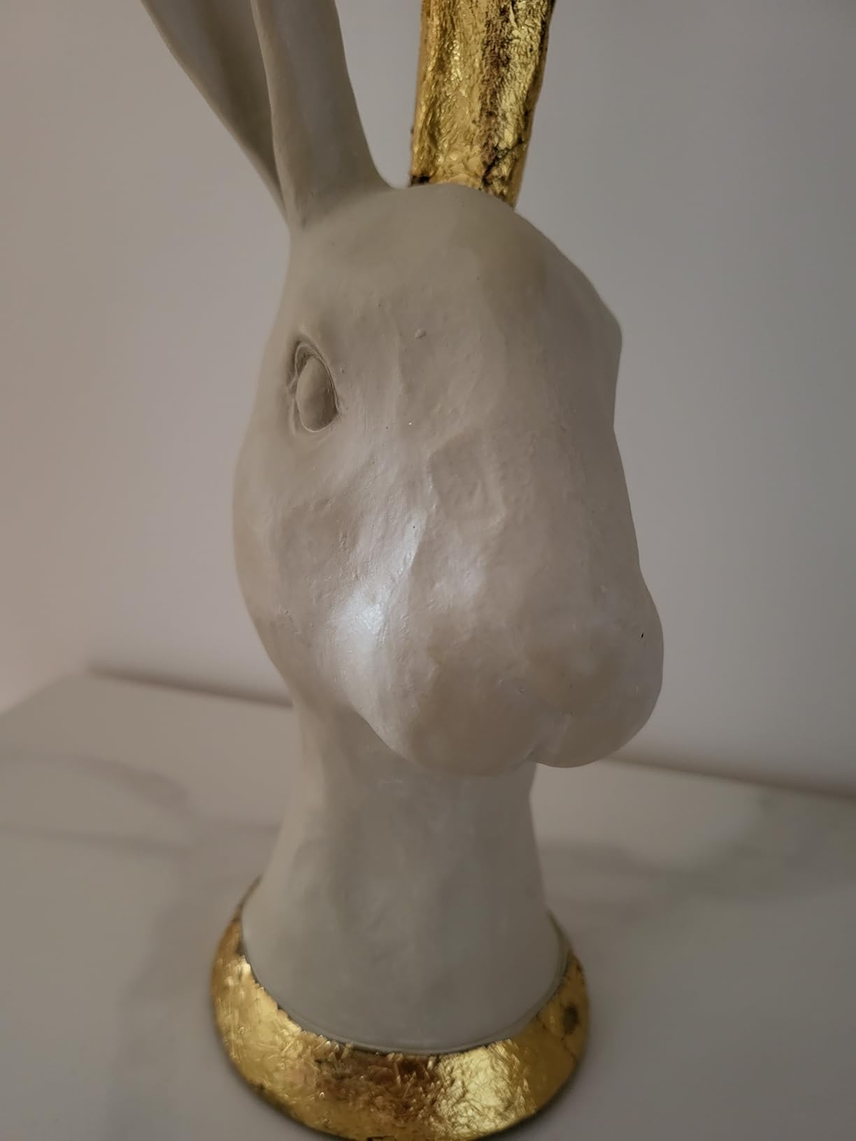 Schöner Hase