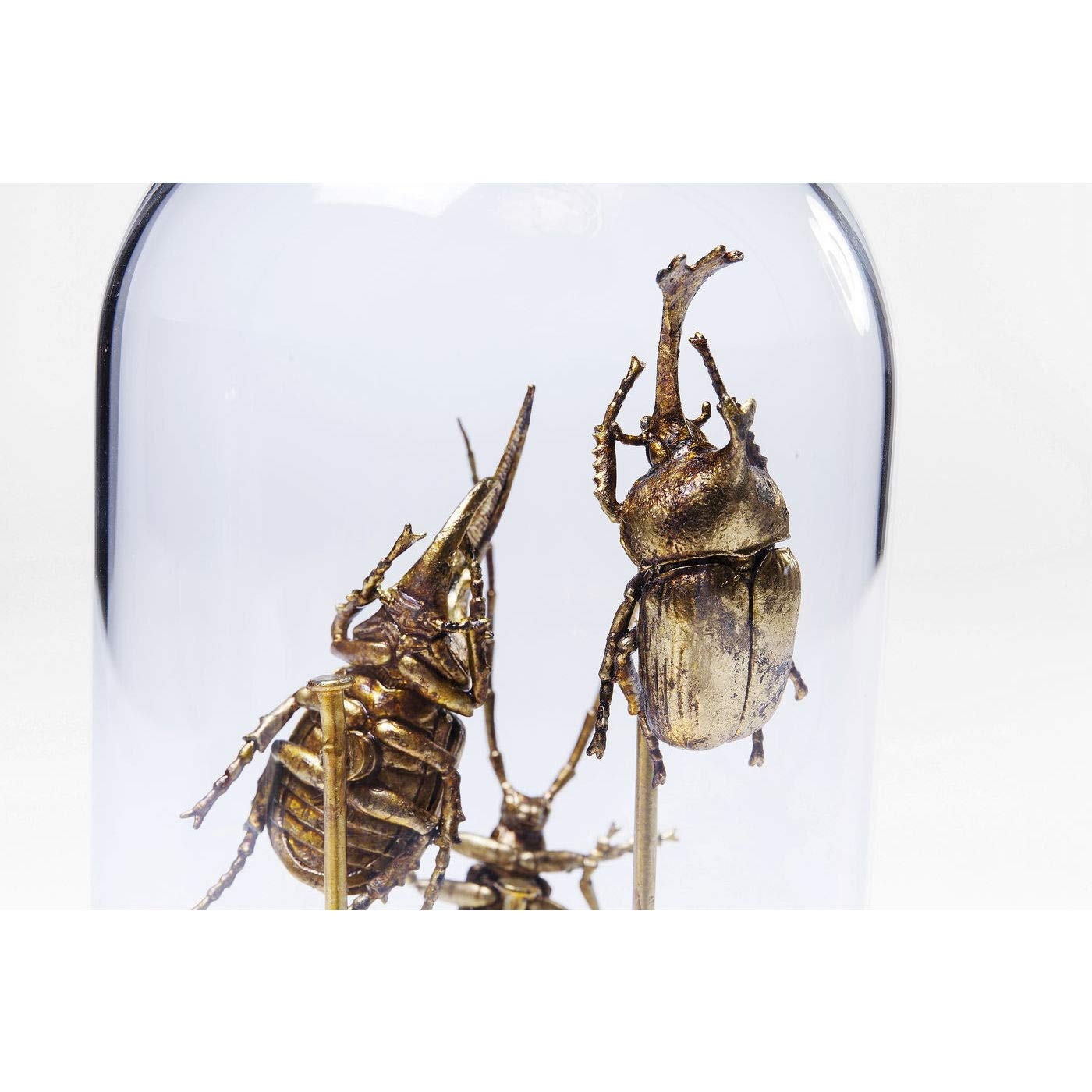 kare-design-insects-tre-deko-objekt-glas-retro image 7