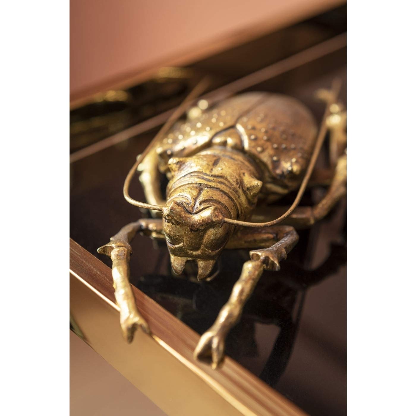kare-design-longicorn-beetle-wandschmuck-gold-7x15x27-cm image 5